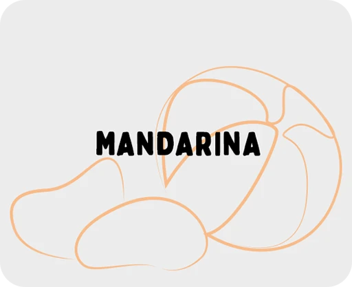 ilustración de una pieza de fruta y varios gajos de mandarina dibujados mediante trazos
